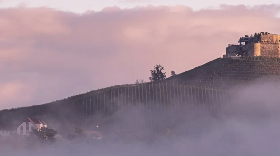 Znana slovenska gostinska družina se širi v Avstrijo, nova lokacija je sanjska (foto: Instagram/jezersekcatering/posnetek zaslona)
