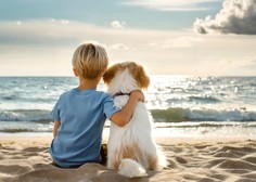 Slovenski veterinarji svetujejo: 8 stvari, na katere morate biti pozorni pred poletnim dopustom