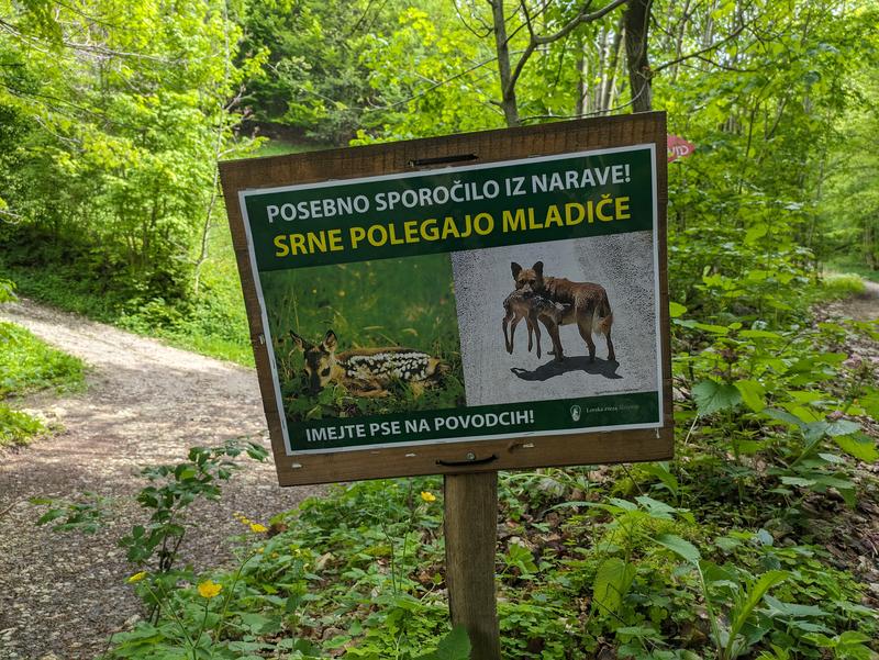 Ste tudi na vaši gozdni poti zagledali te table?