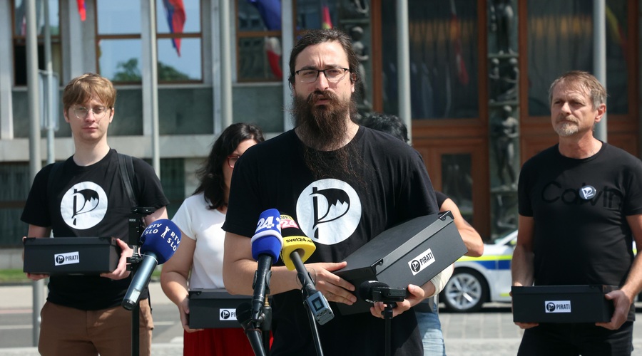 Potrjene liste kandidatov za Evropske volitve, Pirati zavrnjeni (foto: Bobo)