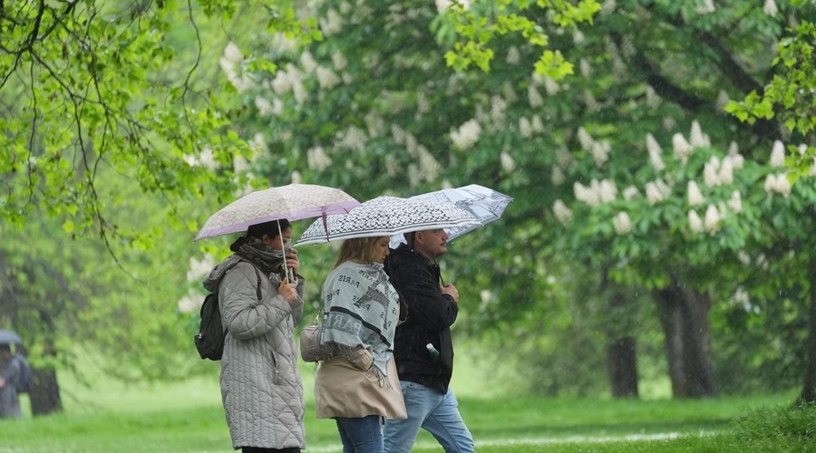 Vremenska napoved: začelo se bo že sredi dneva in vztrajalo vse do konca tedna (foto: Profimedia)