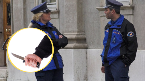 svicarska policija
