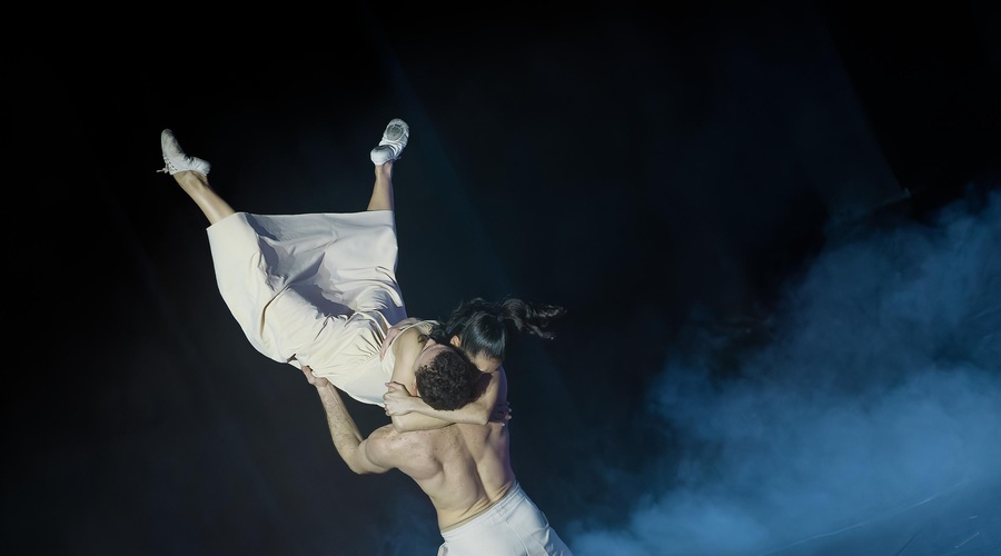 Vrhunski baleti na festivalu Baletne noči junija v Cankarjevem domu in ljubljanski operi (foto: Fanni Tutek-Hajnal)