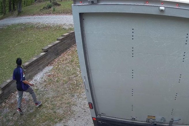 živali strah pes mačka dostavljalec