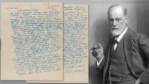 Po tem osupljivem stavku Sigmund Freud nikoli več ni spal s svojo ženo