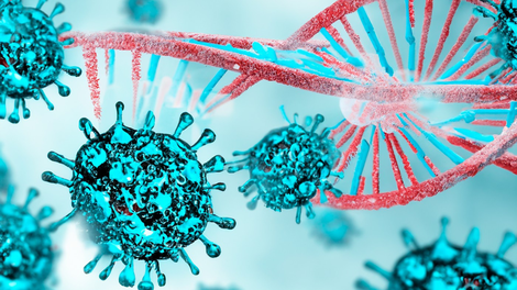 koronavirus
