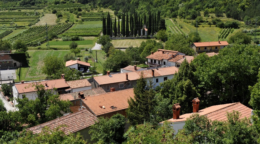 Kras in Brkini postajata priljubljena turistična destinacija (foto: Bobo)