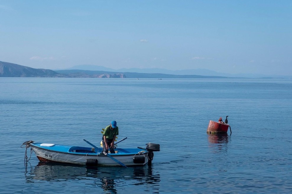 Vlada bo pomagala slovenskim ribičem, a ne s plačilom glob (foto: Profimedia)