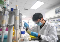 Kitajski raziskovalci v laboratoriju ustvarili nov grozljivi virus