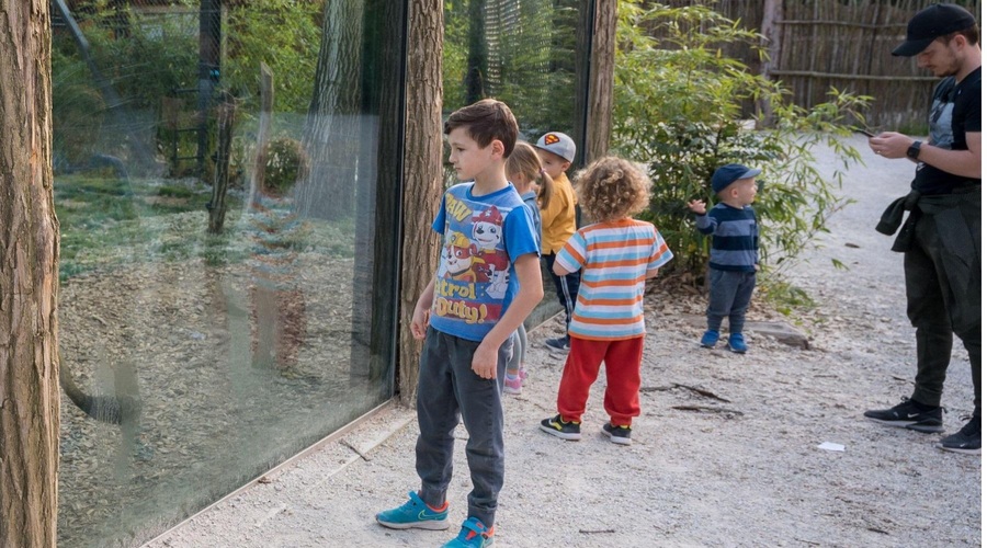 Nov mladiček v ZOO Ljubljana (če to ni nekaj najbolj prikupnega!) (foto: Profimedia)