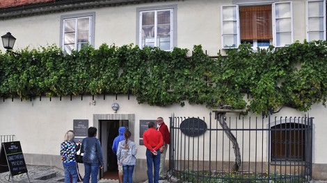 Maribor Hisa trte