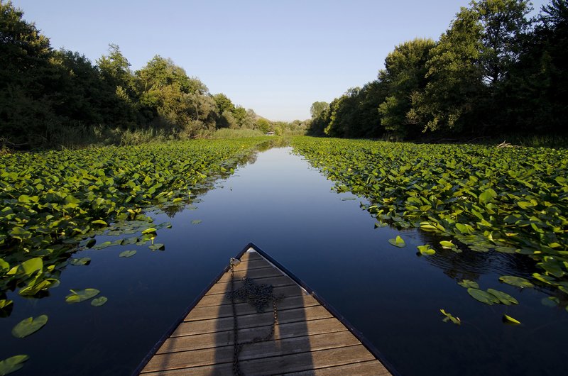 Skadrsko jezero privabi tudi kajakaše in kanuiste.