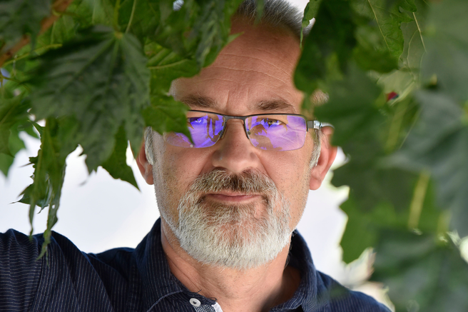 Znani slovenski psiholog ostro komentiral grozljiv primer nasilja na OŠ Velika Dolina: "Nasilja bo vse več ... "