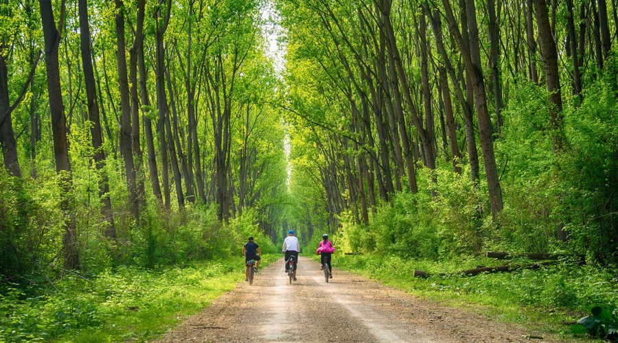 Kolesarjenje po Srbiji: 5 destinacij za popolno kolesarsko izkušnjo (foto: Aleksandar Milutinović)