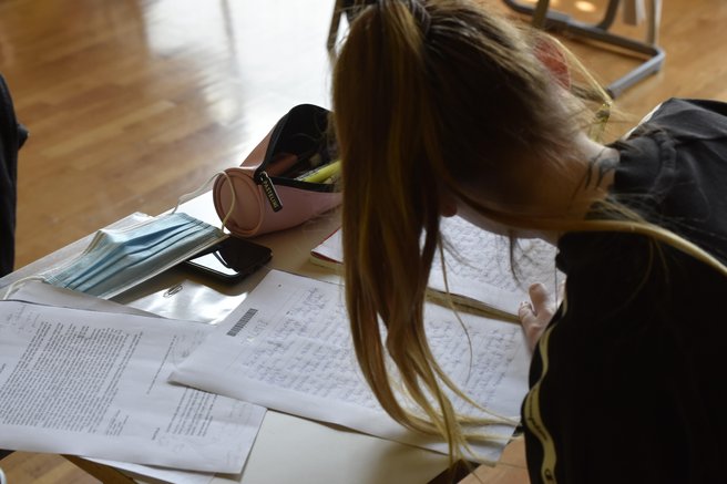 NPZ: šestošolci imajo največ težav s slovenščino, devetošolci pa z matematiko