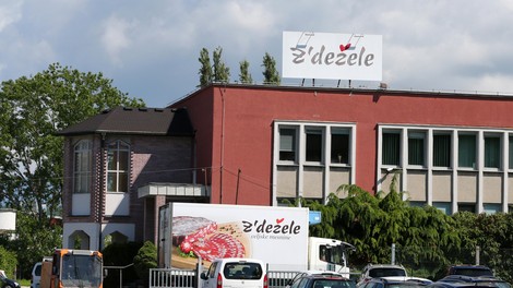 celjske mesnine, Z'dežele