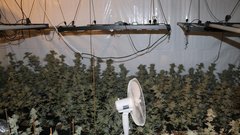 Novomeški policisti zasegli ogromne količine droge (osumljenci so elektro distributerje oškodovali za boleče zneske)
