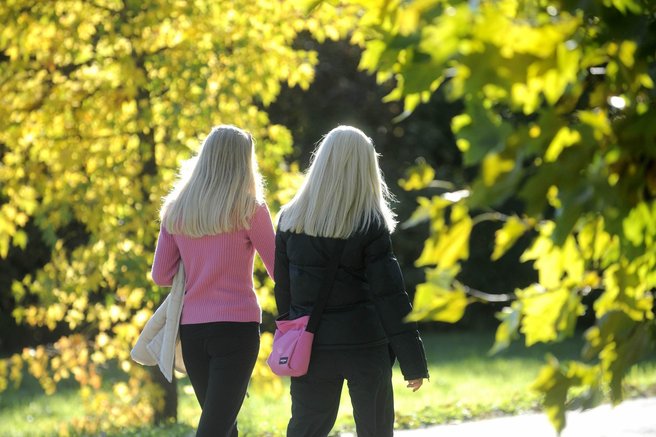 Po tem, ko je Magnifico ostal brez koncerta: bodo v Tivoliju in na Rožniku omejili prireditve na pet lokacij?