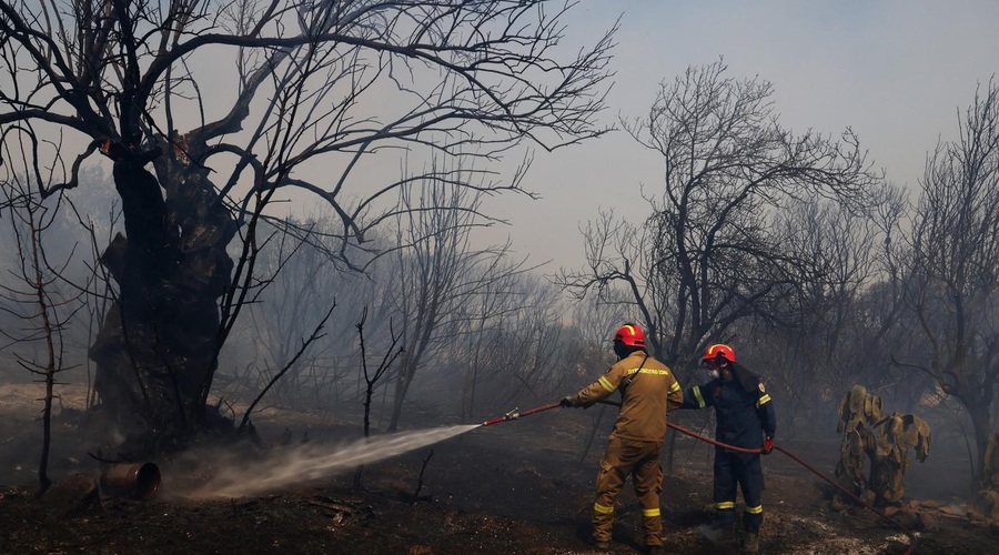 Na jahti prižgali ognjemet in zanetili gozdni požar (foto: Profimedia)