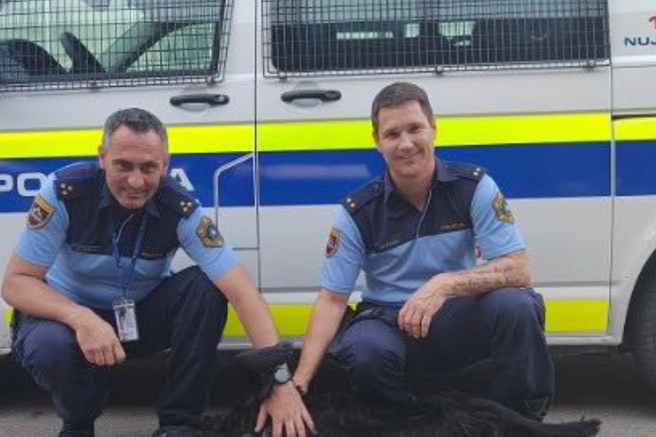 policija