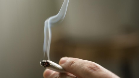 joint trava