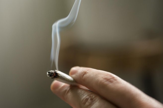joint trava