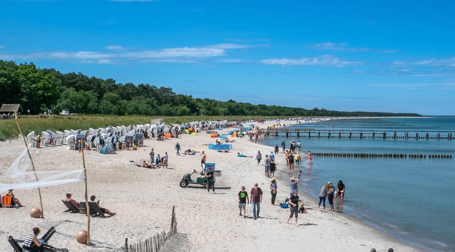Na plaži iskal fosile, naletel pa na zgodovinsko odkritje (foto: Profimedia)