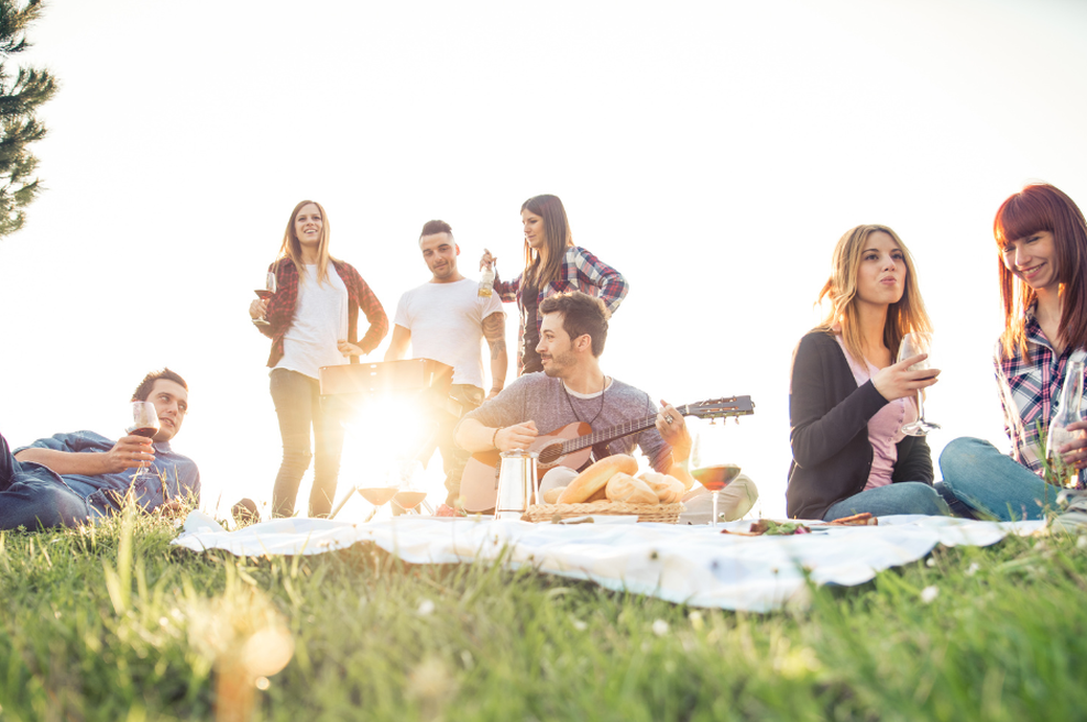 Organizirajte piknik brez nepotrebnega stresa (foto: promocijska fotografija)