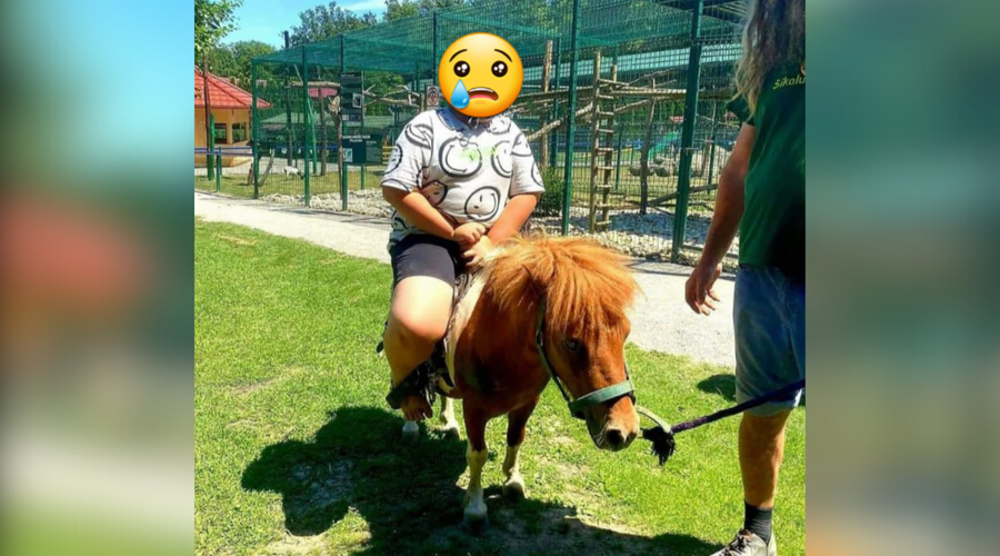 Javnost razburila fotografija iz slovenskega živalskega vrta: oskrbnik Tomi Mitev pojasnil, kako je nastala (foto: Facebook/Zadnje Upanje)