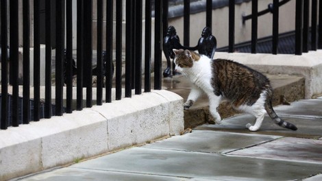 Velike spremembe na Downing Street 10, a ena stvar ostaja enaka