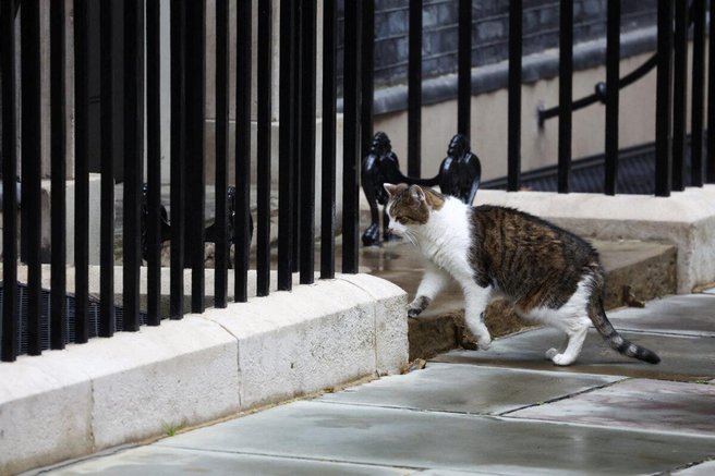 Velike spremembe na Downing Street 10, a ena stvar ostaja enaka