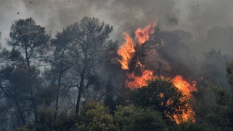 Evropska država v ognju: zaradi gozdnega požara so evakuirali bolnišnico in več naselij
