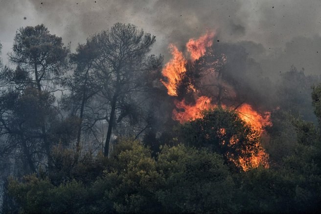 Tragedija med gašenjem požara: gasilca umrla, medtem ko sta poskušala pomagati ogroženi družini