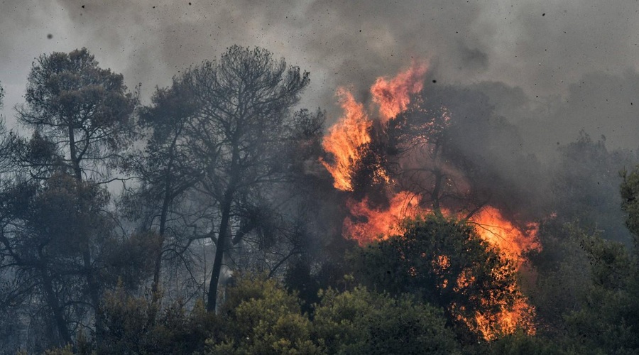 Fotografija je simbolična. (foto: Profimedia)