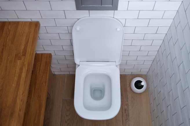 Straniščna školjka v kopalnici