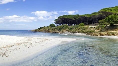 Vzeli školjke in kamenčke s plaže, nato jih je doletelo neprijetno presenečenje