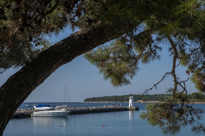 borovci morje plaža