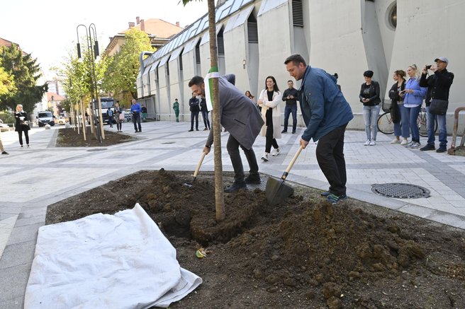 Ljubljana z novo prenovo: boljšo kakovost življenja obljubljajo na ulici ...