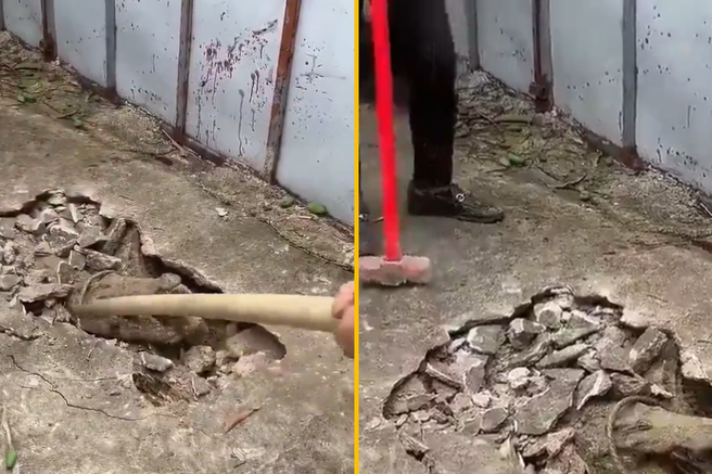 krokodil