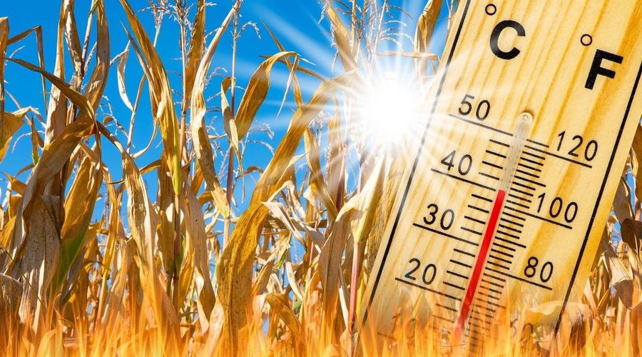 Slovenija se kuha: vremenoslovci napovedujejo, da se bodo temperature povzpele do ... (foto: Profimedia)