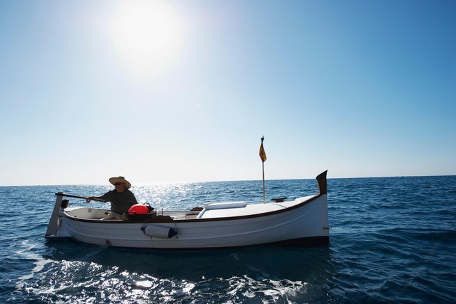 živali morje Jadran Zadar delfin