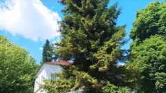 Muzej novejse zgodovine Slovenije Cekinov grad