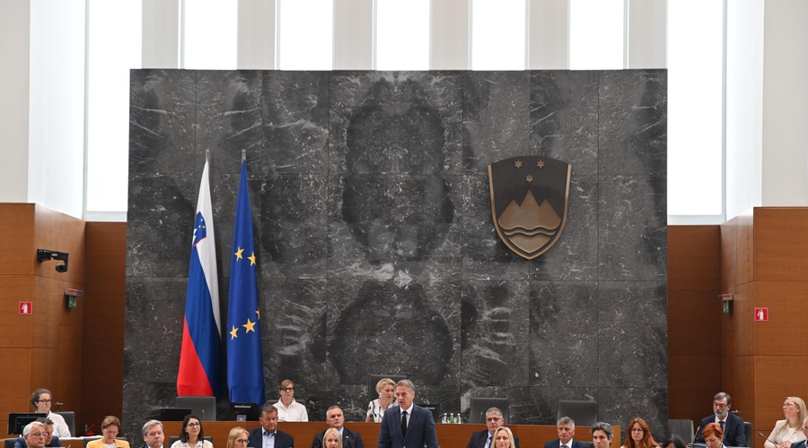 Začele so se parlamentarne počitnice: zdravstvena reforma sledi po oddihu (foto: Bobo/Žiga Živulović)