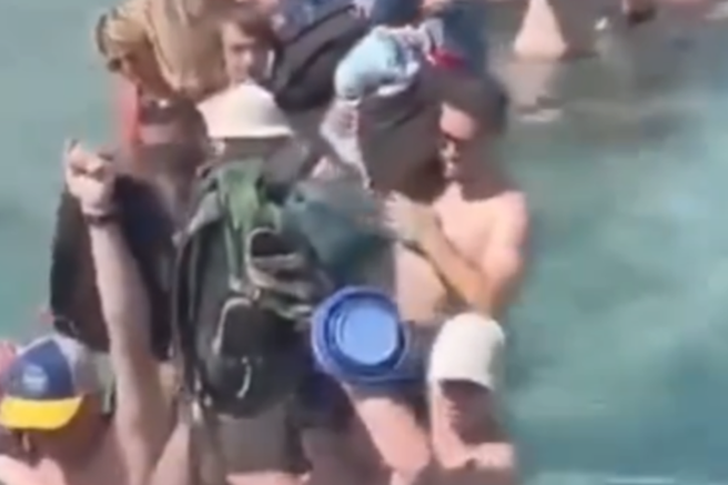 turisti