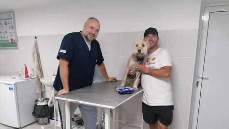 živali Oliver Tič Carlitos peš okrog sveta vročina