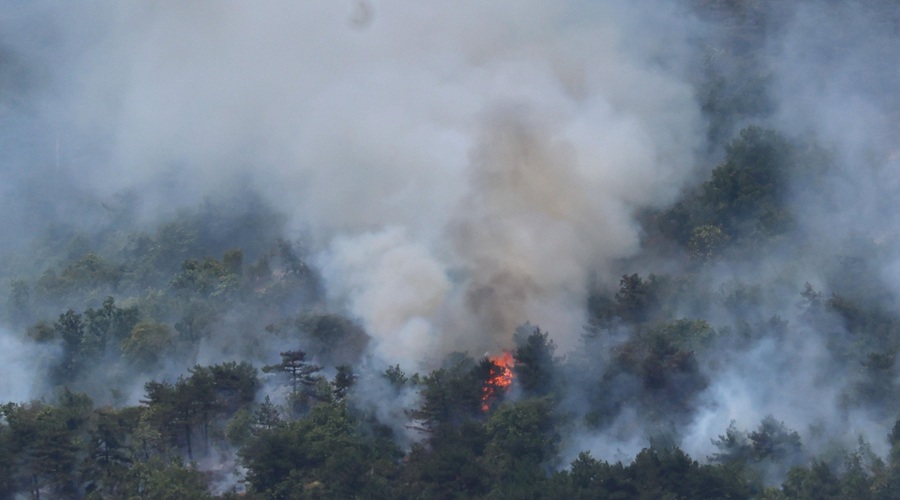 Na Krasu divjata dva ločena požara, v bližini gasilcev eksplodirala granata (foto: Borut Živulovič/Bobo)