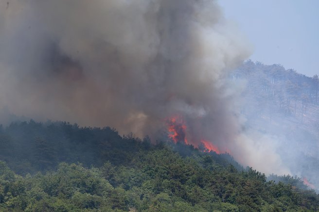 Pri Šibeniku izbruhnil požar: ne boste verjeli, kaj sta storila brezobzirna voznika (VIDEO)