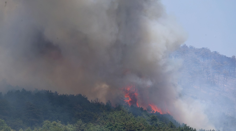Na Krasu požar še gori (je pa pod nadzorom) (foto: Bobo/Borut Živulović)