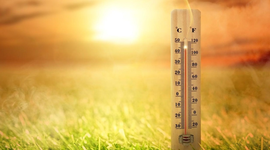 Ohladitev je bila kratkotrajna: temperature se bodo znova povzpele do ... (foto: Profimedia)