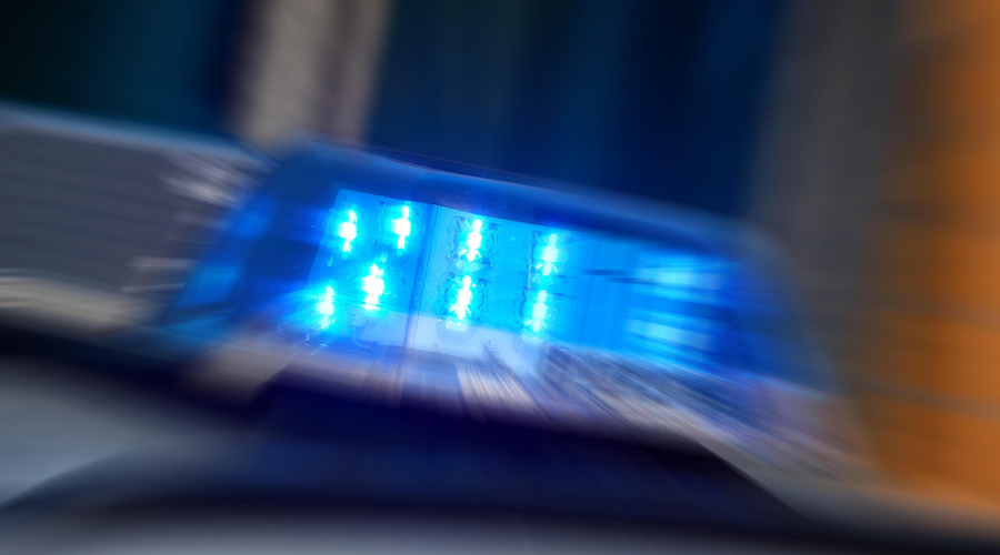 Celjski policisti odvzeli prostost več osebam: sumijo jih, da so storili 13 kaznivih dejanj (foto: Profimedia)